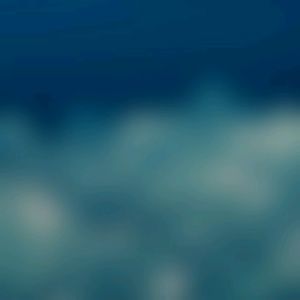 Meet your Posher, Roger